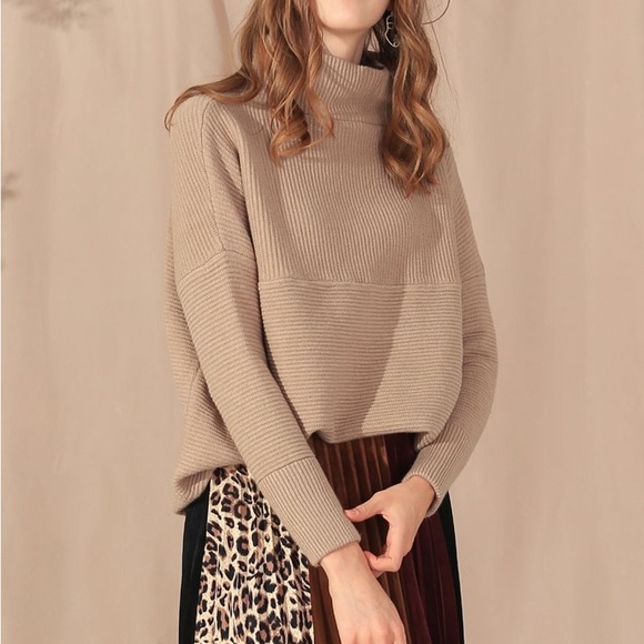Chicwish Sweaters - CHICWISH Cozy Ribbed Turtleneck Ottoman Sweater In Tan